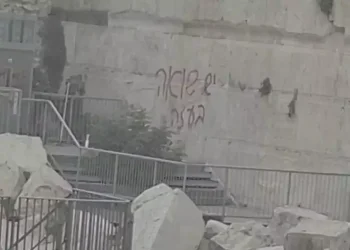 זעזוע בכותל: כותבת גרפיטי רוססה על האבנים הקדושות - החשוד נעצר