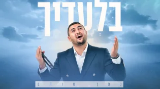 לאחר תאונה שעבר:  נתן שוהם מודה לאלוקים בסינגל חדש - "בלעדיך"