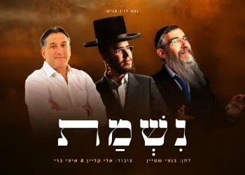 אברהם פריד, חיים ישראל ובנצי שטיין &ndash; "נשמת"