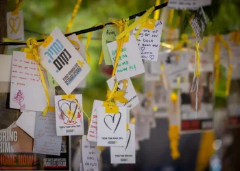 משרד הבריאות בדוח חדש: ניתוח רפואי מקיף על מצבם של 12 חטופים ששבו מעזה משרד הבריאות בדוח חדש: ניתוח רפואי מקיף על מצבם של 12 חטופים ששבו מעזה