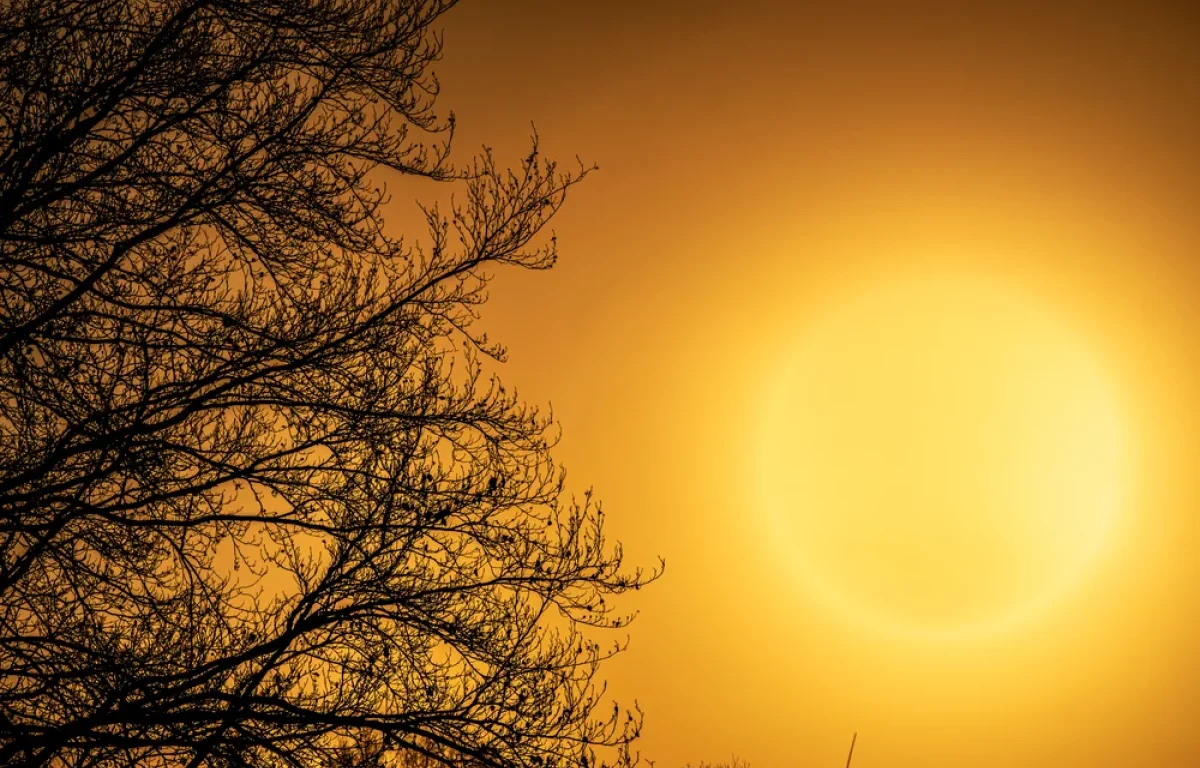 היום הלוהט של הקיץ: שרב כבד, עומסי חום קיצוניים ואזהרת רחצה בים