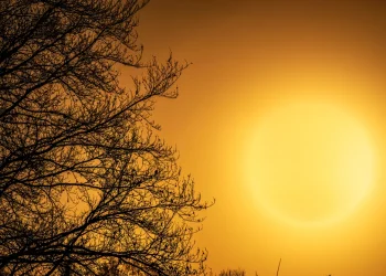 היום הלוהט של הקיץ: שרב כבד, עומסי חום קיצוניים ואזהרת רחצה בים