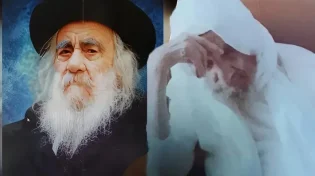 40 שנה לפטירתו של הסטייפלר: כששני עמודי עולם נפגשו בין בני ברק לנתיבות