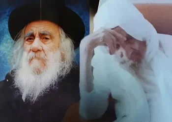 40 שנה לפטירתו של הסטייפלר: כששני עמודי עולם נפגשו בין בני ברק לנתיבות