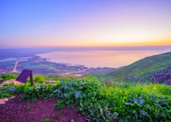 גל החום מאחורינו: השבוע תחזית רגילה ונעימה לעונה גל החום מאחורינו: השבוע תחזית רגילה ונעימה לעונה