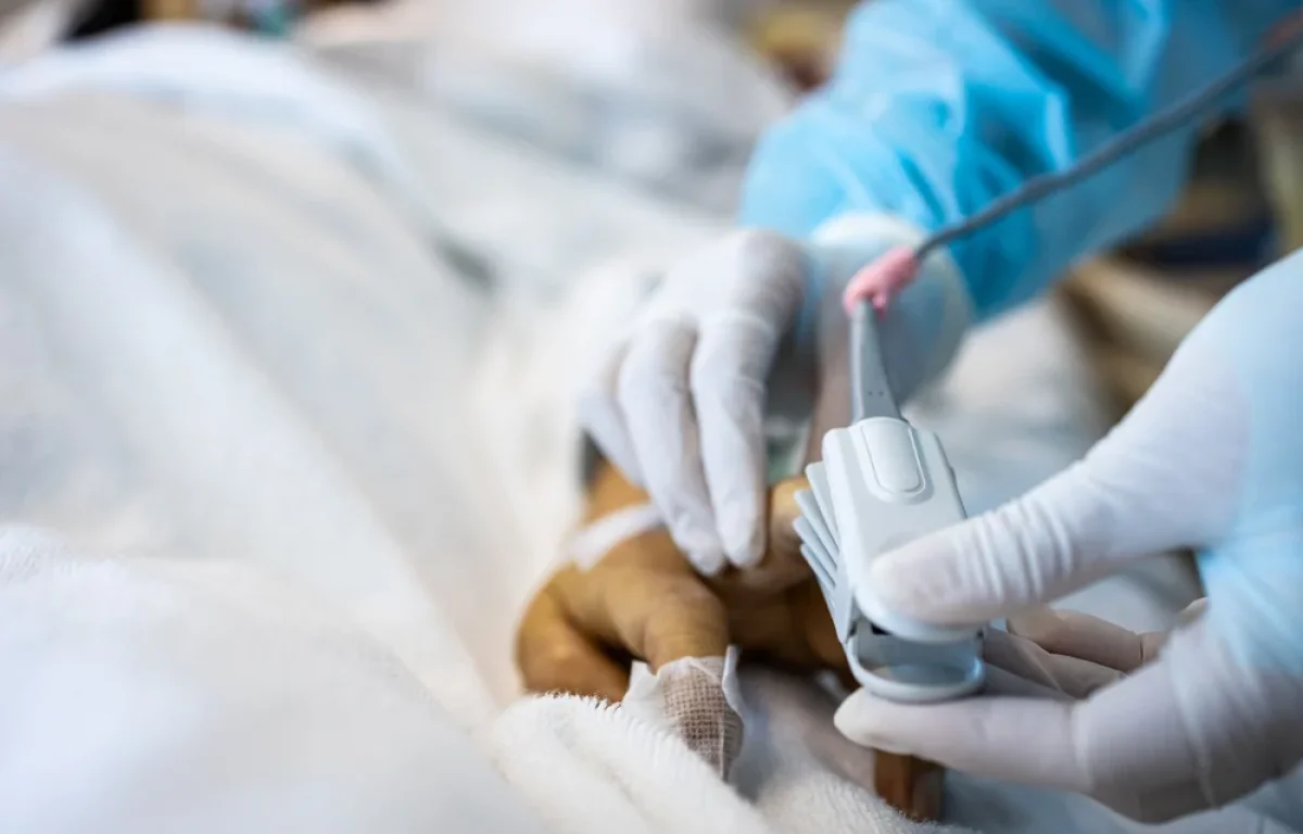 בין שמיים לארץ: מה קורה בתרדמת?