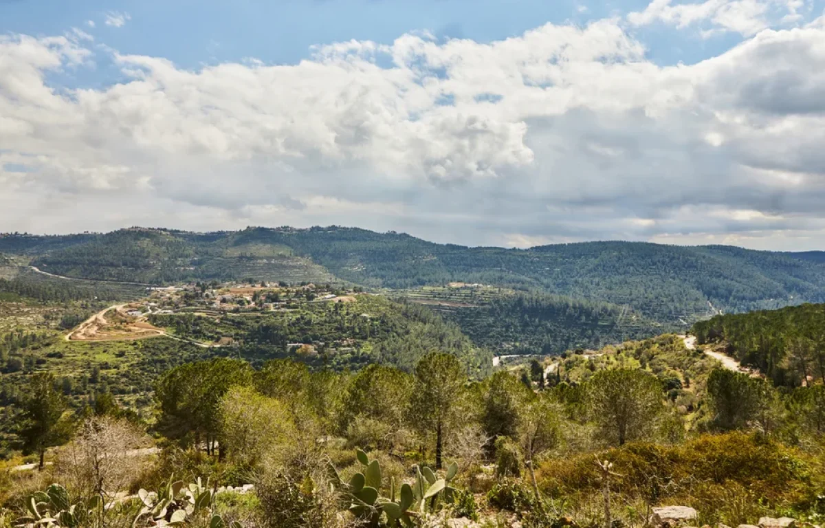 אחרי שנגמר השרב: אלו הן ההתראות על עומסי חום ברחבי הארץ אחרי שנגמר השרב: אלו הן ההתראות על עומסי חום ברחבי הארץ