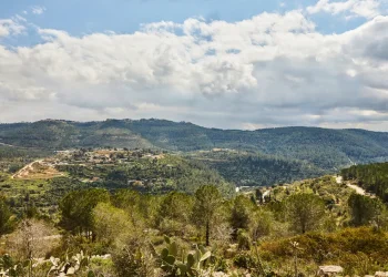 אחרי שנגמר השרב: אלו הן ההתראות על עומסי חום ברחבי הארץ אחרי שנגמר השרב: אלו הן ההתראות על עומסי חום ברחבי הארץ