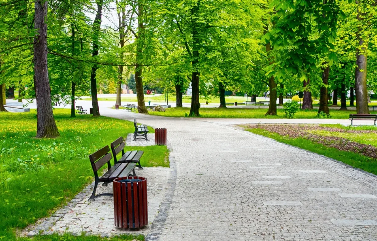 בכל פגישה החליט לומר הלכה אקראית למשודכת. ולא תיאר את מה שיקרה אחר כך