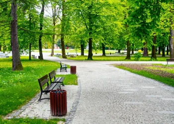 בכל פגישה החליט לומר הלכה אקראית למשודכת. ולא תיאר את מה שיקרה אחר כך