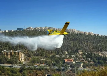 אש משתוללת בעמק הארזים: חשש לחסימות בכביש 1