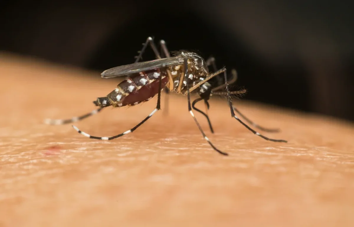 נער בן 13 נדבק במלריה בטנזניה ואושפז בטיפול נמרץ בתל השומר