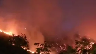 אסון סביבתי היסטורי בספרד: מאות אלפי דונמים נשרפים בדרום המדינה
