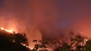 אסון סביבתי היסטורי בספרד: מאות אלפי דונמים נשרפים בדרום המדינה