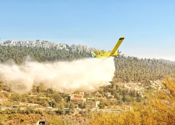 מטוס כיבוי - כך פרצה שריפת הענק במבשרת ציון מטוס כיבוי - כך פרצה שריפת הענק במבשרת ציון