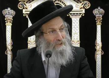 הרב אלימלך בידרמן הרב אלימלך בידרמן