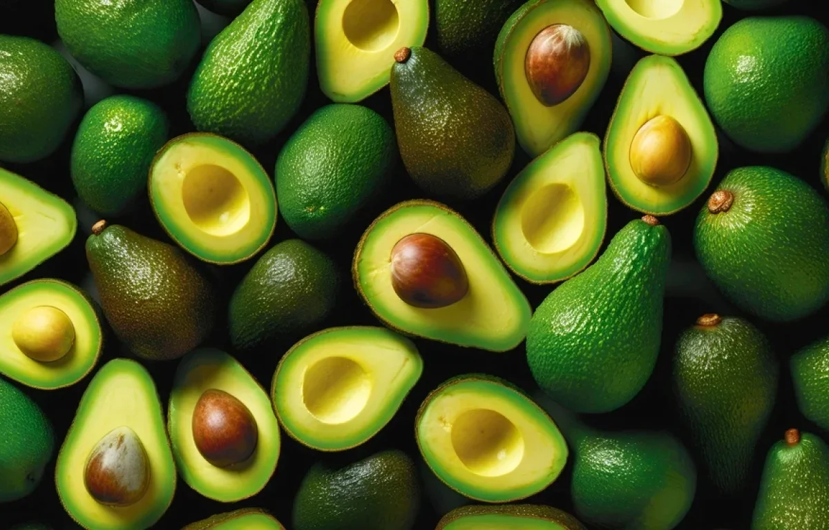 האבוקדו מעבר לטוסט: 10 עובדות מפתיעות על הפרי הירוק