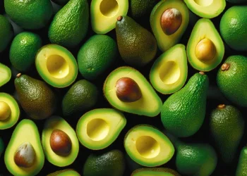 האבוקדו מעבר לטוסט: 10 עובדות מפתיעות על הפרי הירוק
