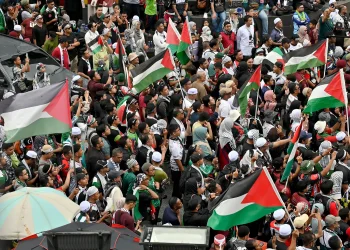 הפגנה פרו פלשתינית הפגנה פרו פלשתינית