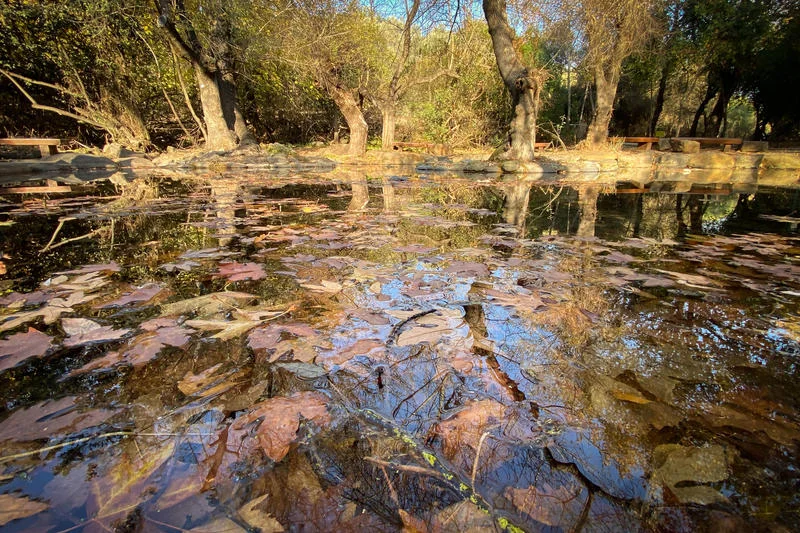 הקיץ עוד כאן