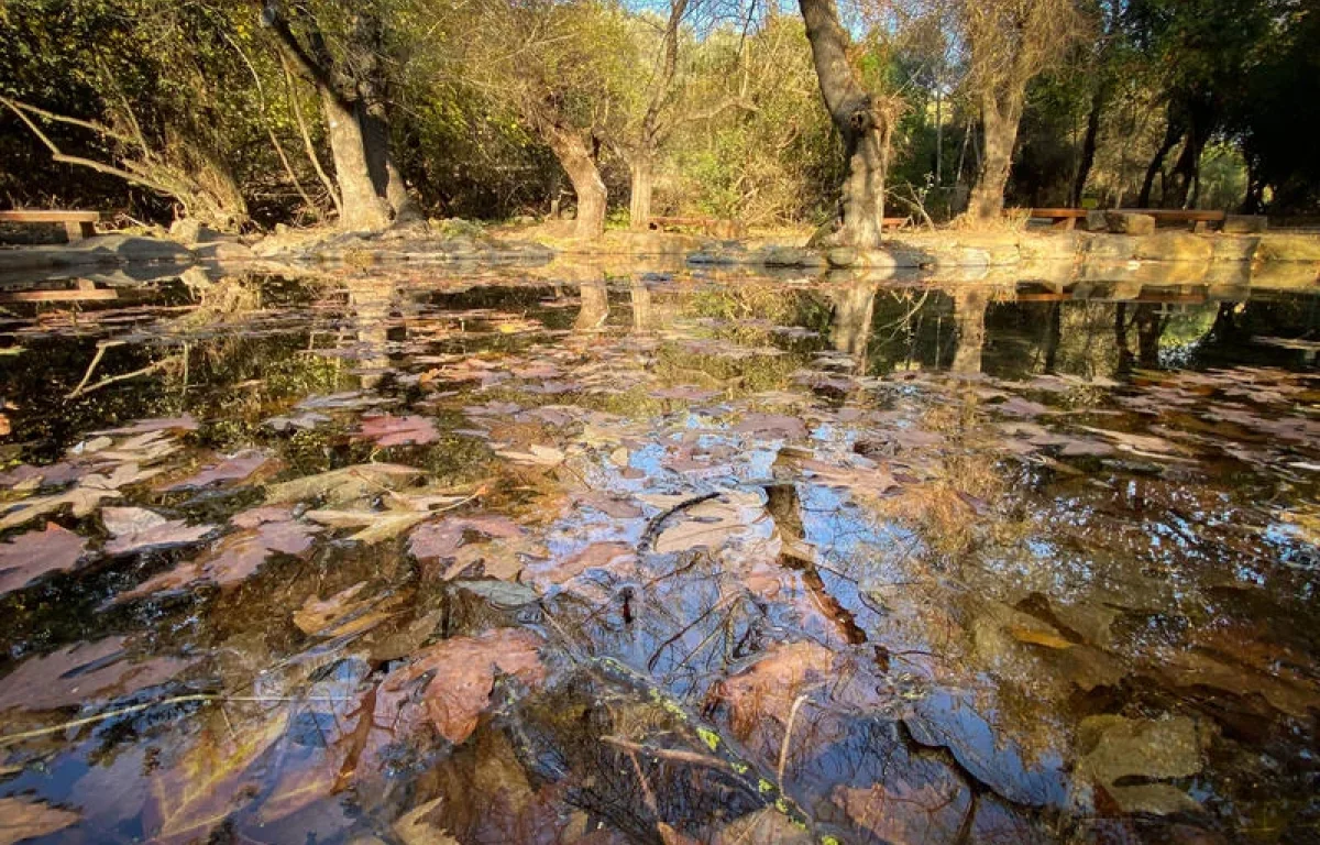 הקיץ עוד כאן