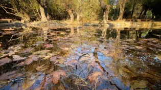 הקיץ עוד כאן: כך ייראה השבוע במזג האוויר