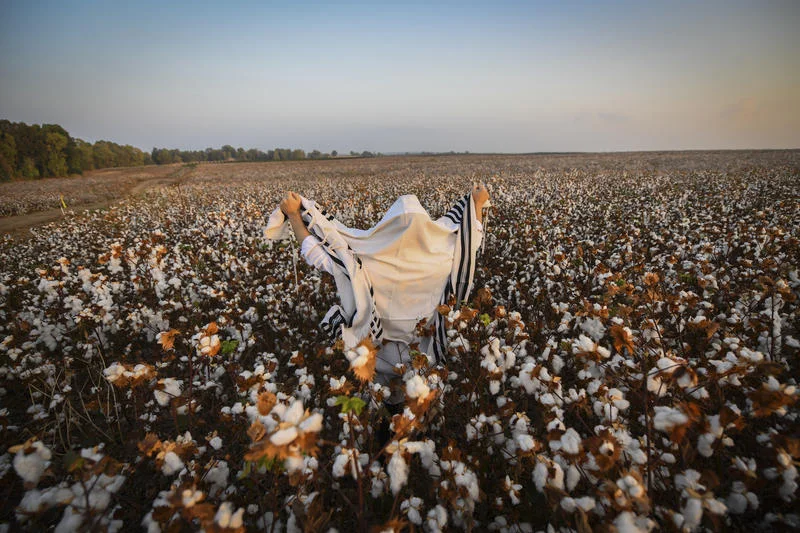 "מודה אני": התפילה הקצרה של הבוקר עם הסוד הגדול "מודה אני": התפילה הקצרה של הבוקר עם הסוד הגדול