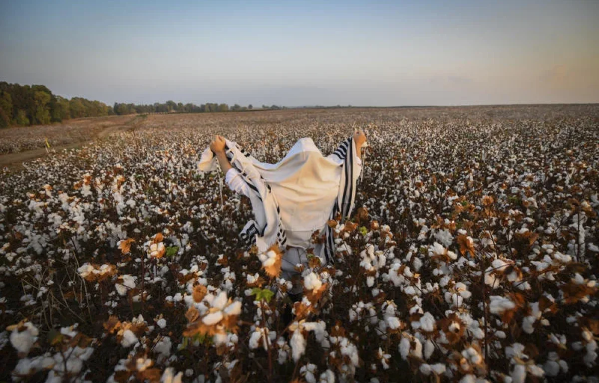 "מודה אני": התפילה הקצרה של הבוקר עם הסוד הגדול "מודה אני": התפילה הקצרה של הבוקר עם הסוד הגדול