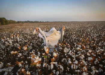 "מודה אני": התפילה הקצרה של הבוקר עם הסוד הגדול "מודה אני": התפילה הקצרה של הבוקר עם הסוד הגדול