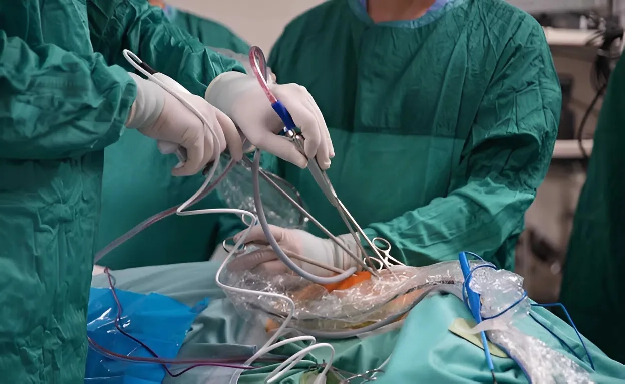 נס רפואי בשניידר: יוסף חיים בן השש קיבל כליה מתורם אלטרואיסט שהציל את חייו