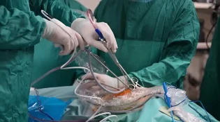 נס רפואי בשניידר: יוסף חיים בן השש קיבל כליה מתורם אלטרואיסט שהציל את חייו