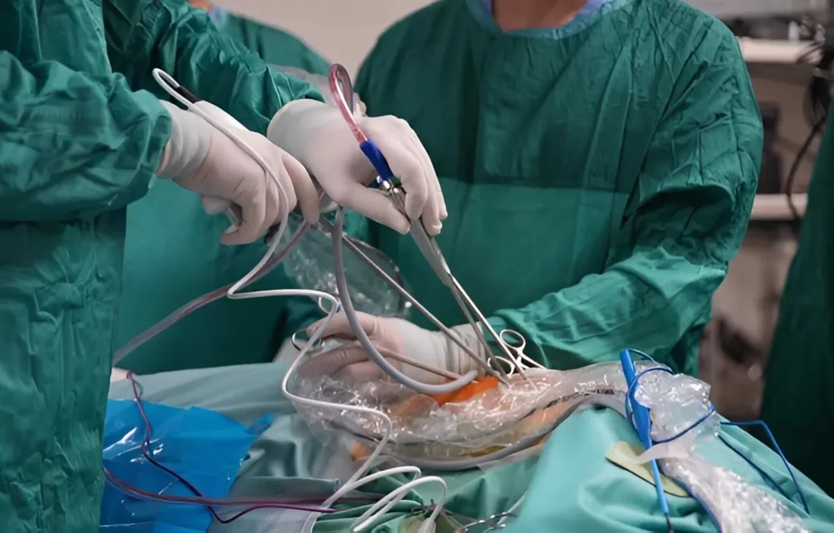 נס רפואי בשניידר: יוסף חיים בן השש קיבל כליה מתורם אלטרואיסט שהציל את חייו