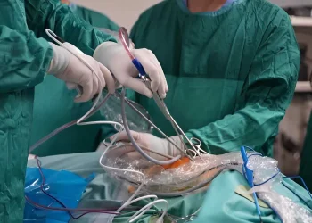 נס רפואי בשניידר: יוסף חיים בן השש קיבל כליה מתורם אלטרואיסט שהציל את חייו