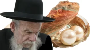 הרב ארז קדוסי על דרכו של הרב אדלשטיין: "שבע עצות שמשנות חיים"