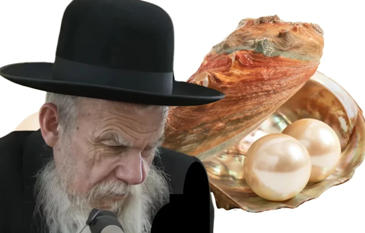 הרב ארז קדוסי על דרכו של הרב אדלשטיין: "שבע עצות שמשנות חיים" הרב ארז קדוסי על דרכו של הרב אדלשטיין: "שבע עצות שמשנות חיים"