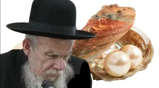 הרב ארז קדוסי על דרכו של הרב אדלשטיין: "שבע עצות שמשנות חיים"