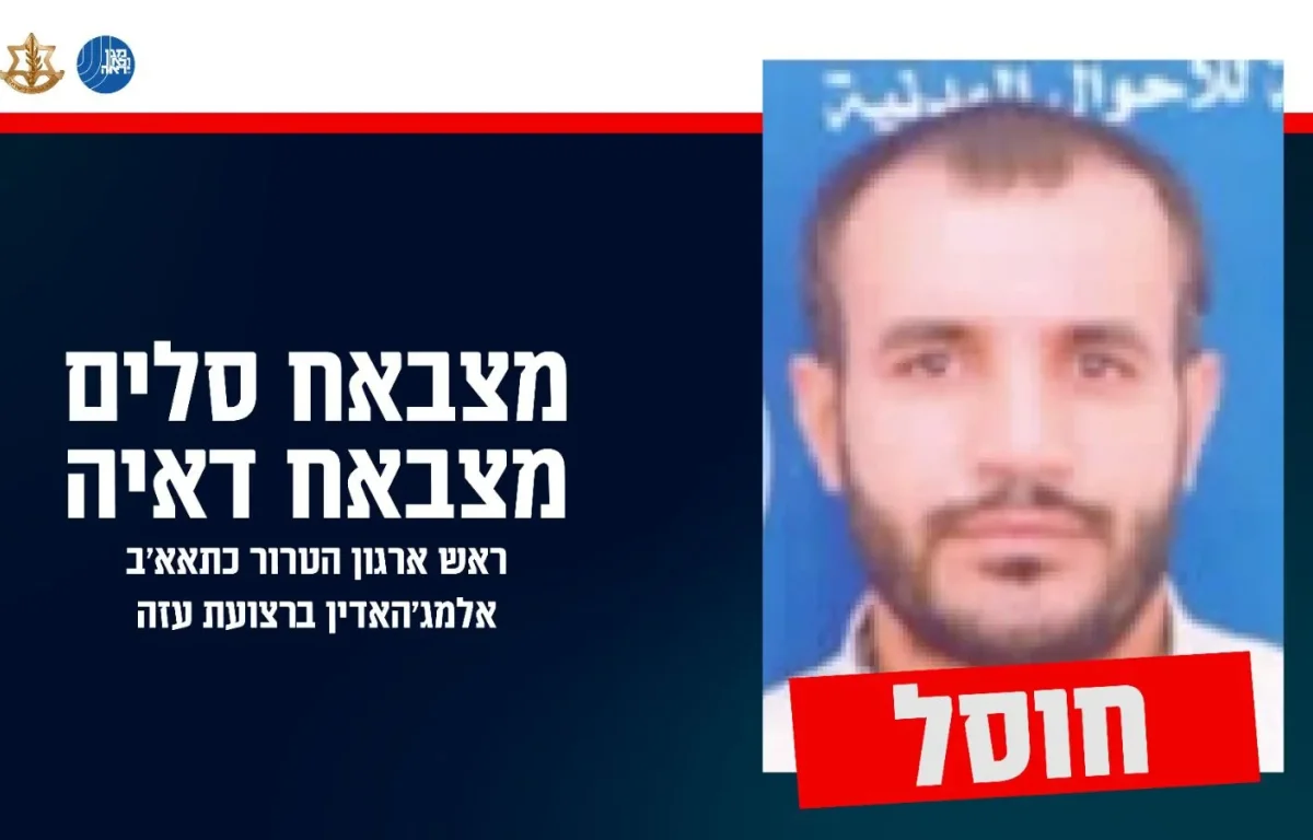 מצבאח סלים מצבאח דאיה מצבאח סלים מצבאח דאיה