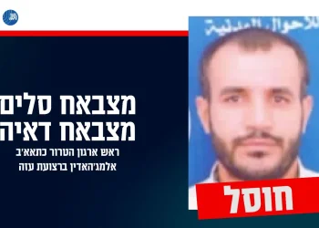 מצבאח סלים מצבאח דאיה מצבאח סלים מצבאח דאיה