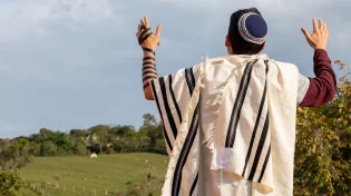 המלך כבר בשדה: סוד הפסוק "אני לדודי ודודי לי"