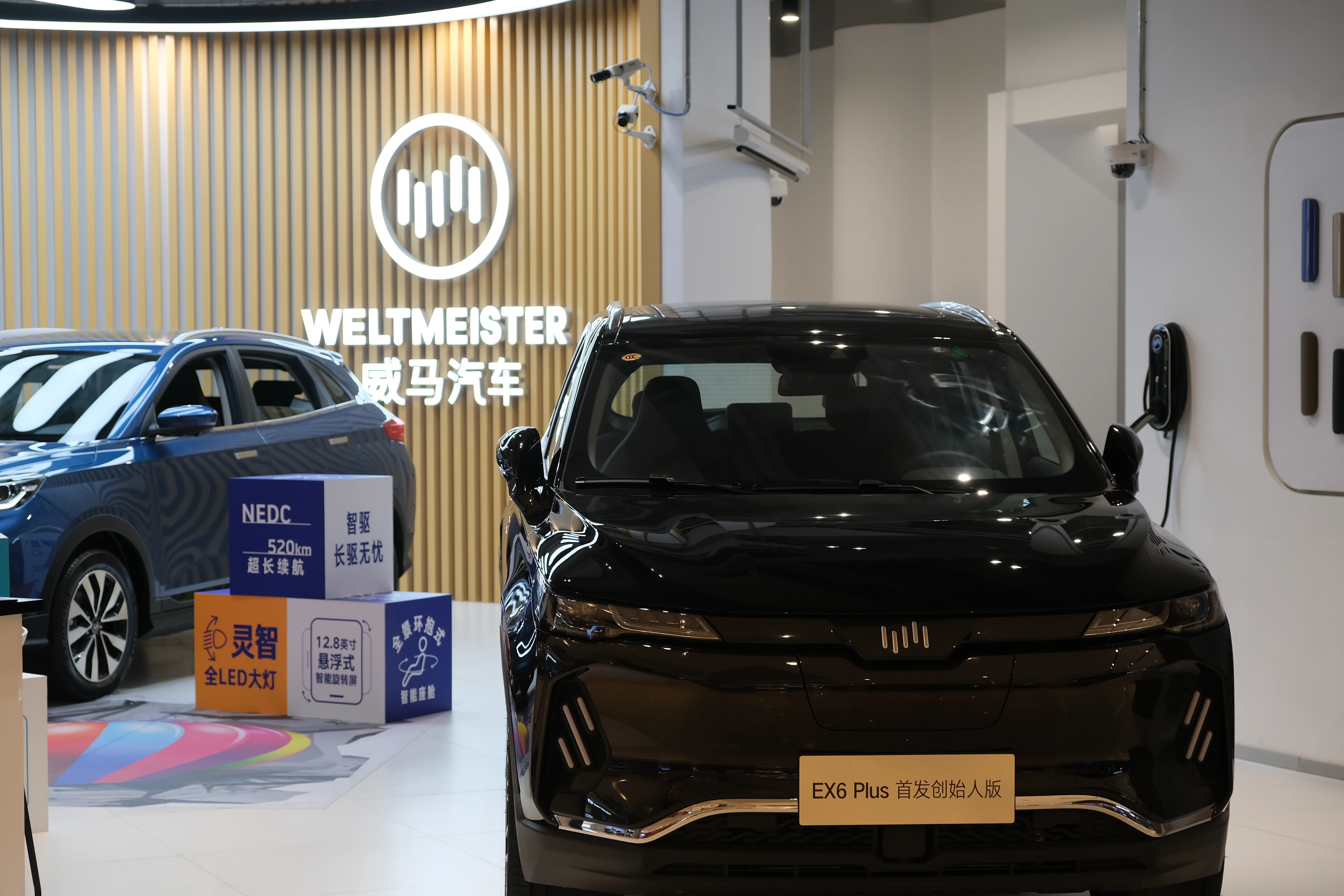 חברת הרכב הסינית WM MOTOR 