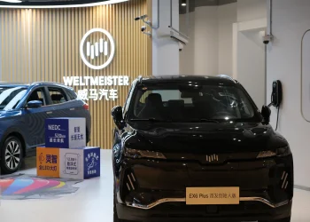 חברת הרכב הסינית WM MOTOR 