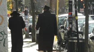 "הם ניסו לשסות בהם רוטוויילר": מתקפת שנאה מזעזעת נגד זוג חרדי בוונציה