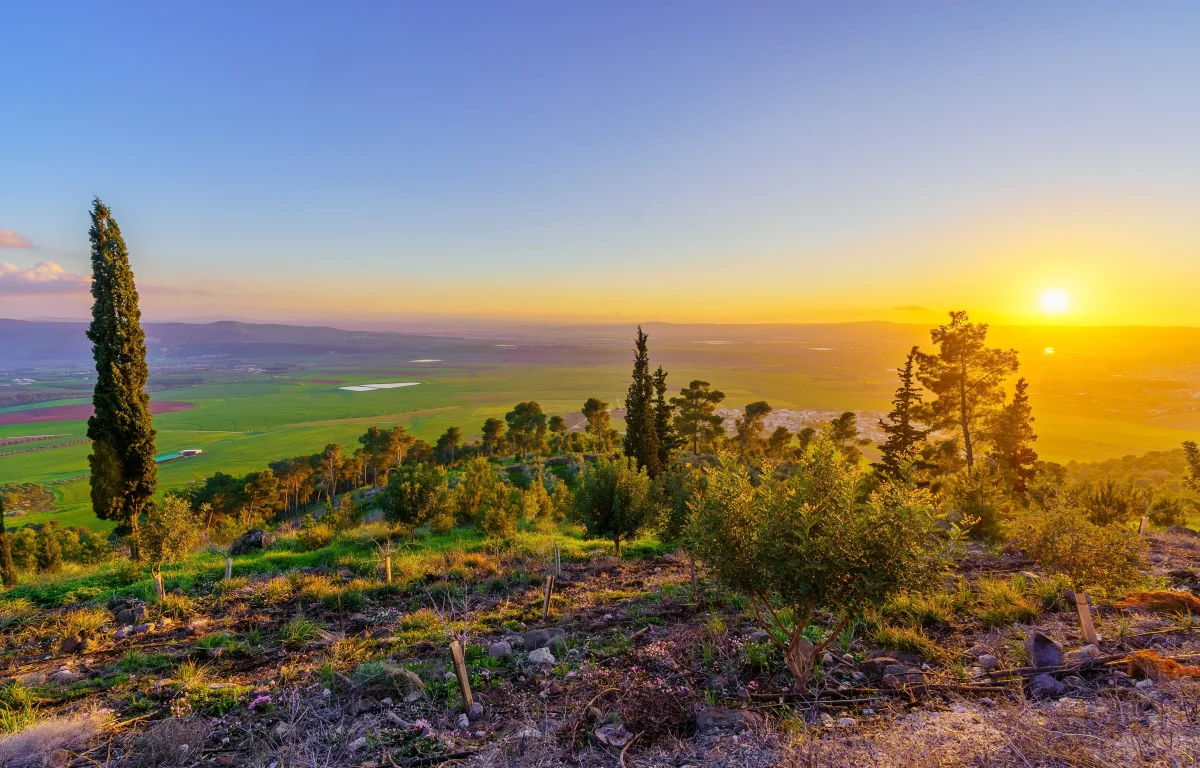 האם הסתיו מתקרב?