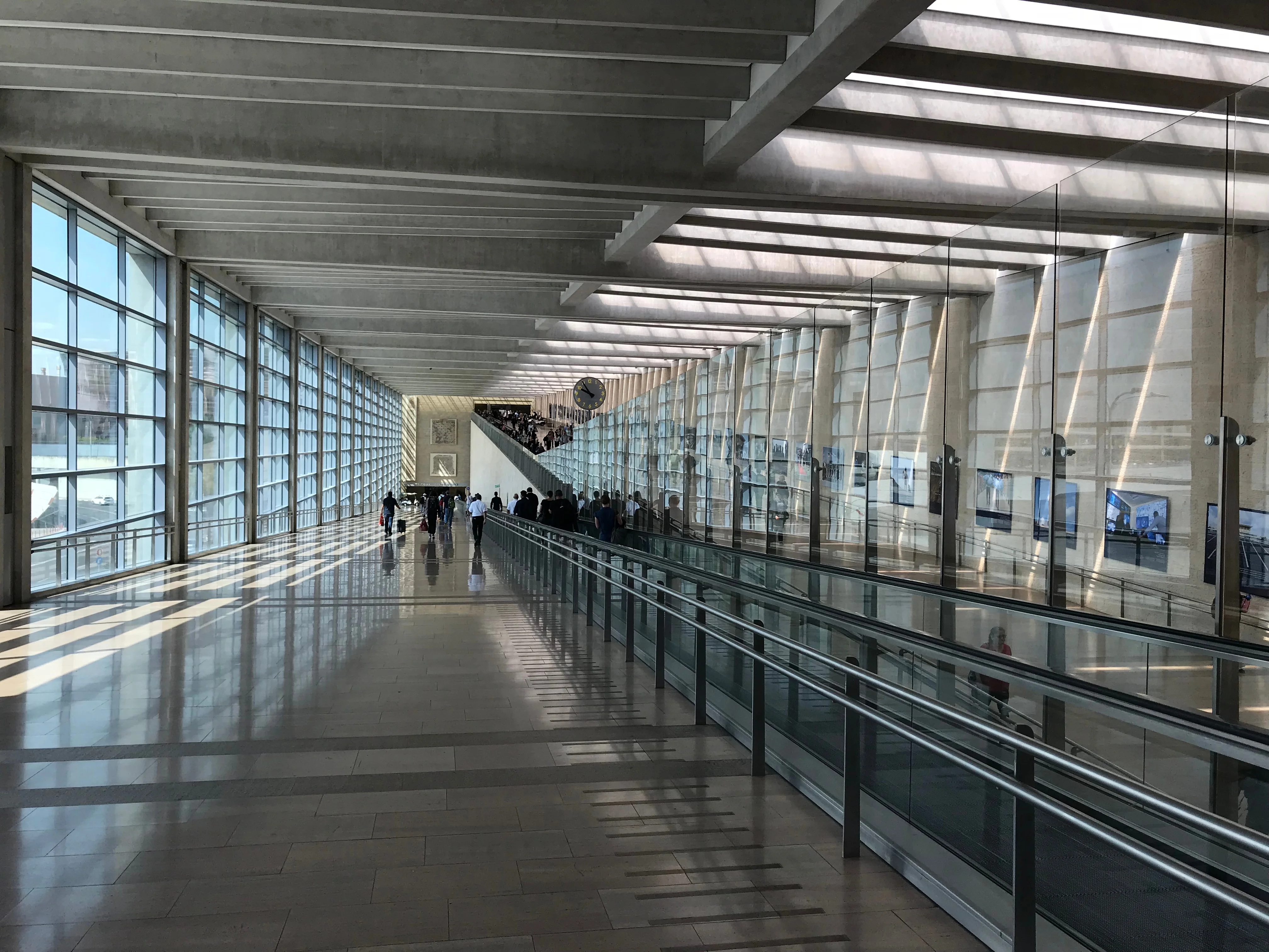 ארבעת המינים בנתב״ג, משרד החקלאות מזהיר ומחלק סטים כשרים בחינם