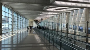 ארבעת המינים בנתב״ג, משרד החקלאות מזהיר ומחלק סטים כשרים בחינם