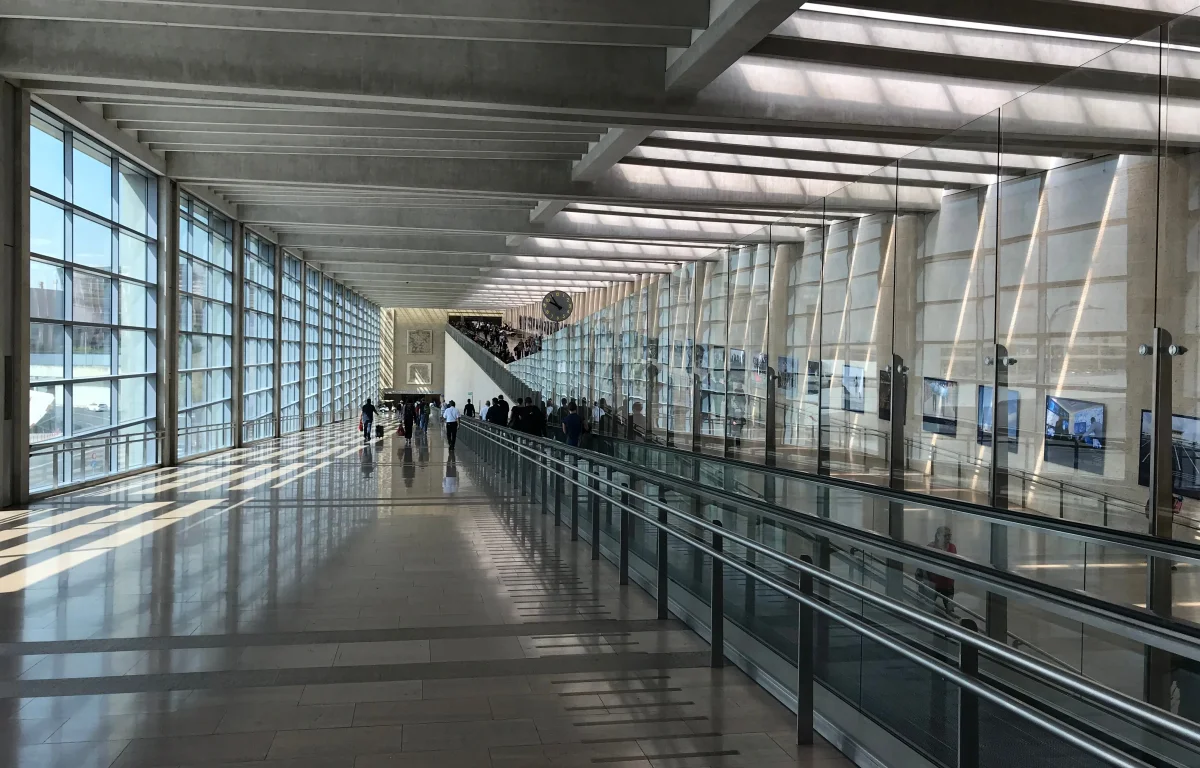 ארבעת המינים בנתב״ג, משרד החקלאות מזהיר ומחלק סטים כשרים בחינם ארבעת המינים בנתב״ג, משרד החקלאות מזהיר ומחלק סטים כשרים בחינם