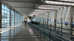 ארבעת המינים בנתב״ג, משרד החקלאות מזהיר ומחלק סטים כשרים בחינם