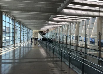 ארבעת המינים בנתב״ג, משרד החקלאות מזהיר ומחלק סטים כשרים בחינם ארבעת המינים בנתב״ג, משרד החקלאות מזהיר ומחלק סטים כשרים בחינם