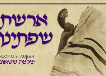 שלמה שטאובר - "ארשת שפתנו" שלמה שטאובר - "ארשת שפתנו"