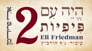 אלי פרידמן בסינגל חדש: "הייה עם פיפיות 2"